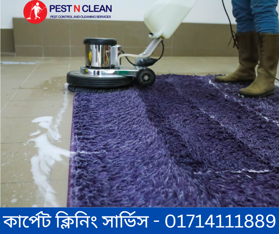 Carpet Cleaning Services in Dhaka - কার্পেট ক্লিনিং সার্ভিস